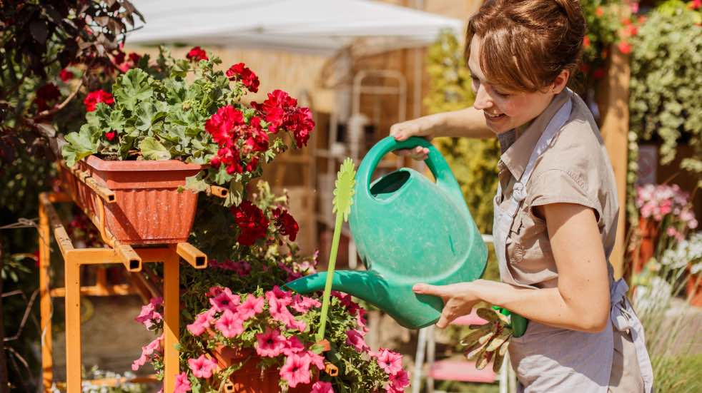 Woman watering flowers